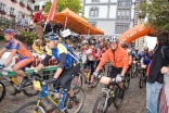Thumb - Bild 15