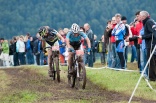 Thumb - Bild 42
