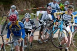Thumb - Bild 41