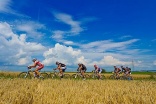 6. Etappe VAUDE MountainBIKE Trans Schwarzwald, Fotos Copyright: Armin M. K�stenbr�ck