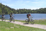 Bitou - Bike Tours & Adventure Incentives