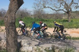 RadReisen Mallorca