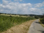 Elmmendingen - N�ttingen