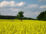 Hochschwarzwald-Baar-Runde