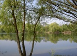 Buchtzigsee