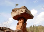 Teufelstisch im Wasgau