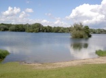 Fermasee bei Rheinstetten-Neuburgweier 