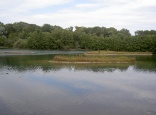 Erlachsee