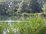Baggersee Neureut