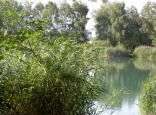 Baggersee Neureut