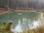Unterer Schwanenweiher mit Grabh�gel 