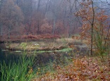 Karlsbergweiher