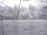 Spickelweiher im Winter