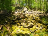 Steinernes Meer am Weiselberg