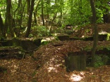 Schacht Fortuna (Grube Nordfeld)