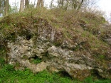 Raulenstein bei Wattweiler 