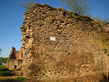 Burgruine Bucherbach