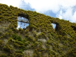 Verfallenes Weingutshaus