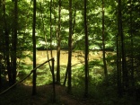 Hodenbachweiher