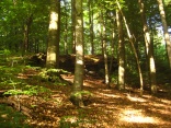 Naturdenkmal Hohler Stein
